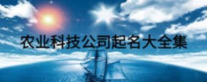 農業科技公司起名大全集