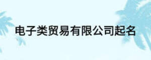 電子類貿易有限公司起名
