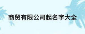 商貿(mào)有限公司起名字大全