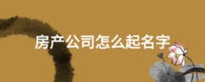 房產公司怎么起名字