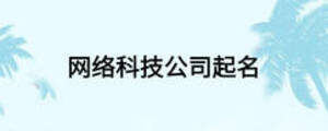 網(wǎng)絡(luò)科技公司起名