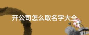 開(kāi)公司怎么取名字大全