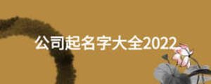 公司起名字大全2022