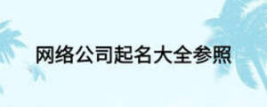 網絡公司起名大全參照