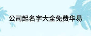 公司起名字大全免費(fèi)華易