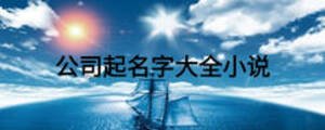 公司起名字大全小說(shuō)