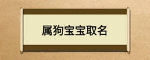 屬狗寶寶取名