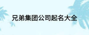 兄弟集團(tuán)公司起名大全