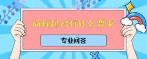 商標(biāo)起名有什么要求