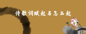 詩(shī)歌詞賦起名怎么起