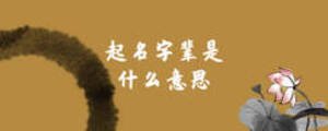 起名字輩是什么意思
