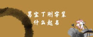 男寶丁剛字輩什么起名