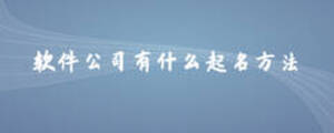軟件公司有什么起名方法