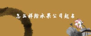 怎么樣給水果公司起名