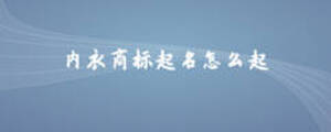 內(nèi)衣商標(biāo)起名怎么起