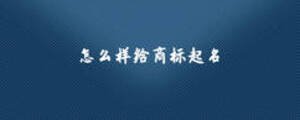 怎么樣給商標(biāo)起名