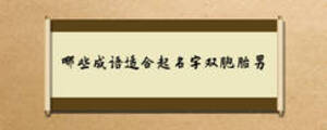 哪些成語適合起名字雙胞胎男