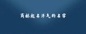 商標起名洋氣的名字