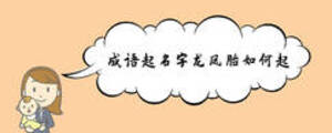 成語起名字龍鳳胎如何起