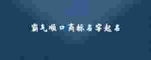 霸氣順口商標(biāo)名字起名