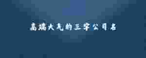 高端大氣的三字公司名