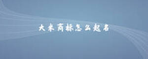大米商標怎么起名