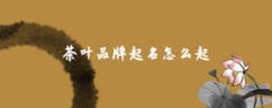 茶葉品牌起名怎么起