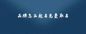 品牌怎么起名免費取名