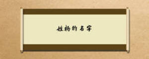 姓楊的名字