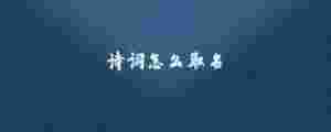 詩詞怎么取名