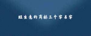旺生意的商標(biāo)三個(gè)字名字