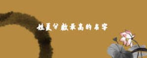 姓夏分數(shù)最高的名字