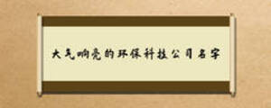 大氣響亮的環保科技公司名字