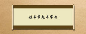 姓名學(xué)起名字典