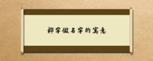 樺字做名字的寓意