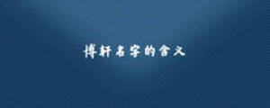 博軒名字的含義