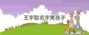 王字取名字男孩子