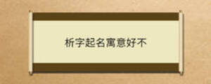 析字起名寓意好不