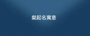粲起名寓意
