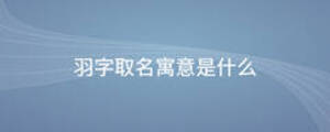 羽字取名寓意是什么