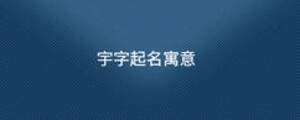 宇字起名寓意