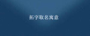 拓字取名寓意