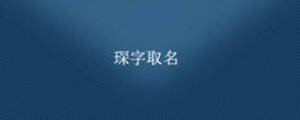 琛字取名