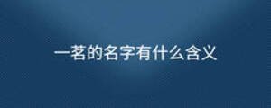 一茗的名字有什么含義