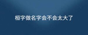 桓字做名字會不會太大了