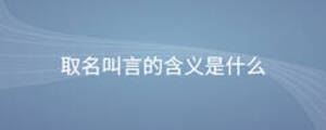 取名叫言的含義是什么