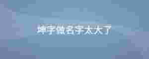 坤字做名字太大了