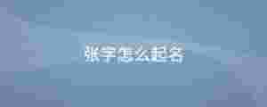張字怎么起名