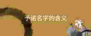予諾名字的含義