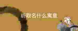 盺取名什么寓意